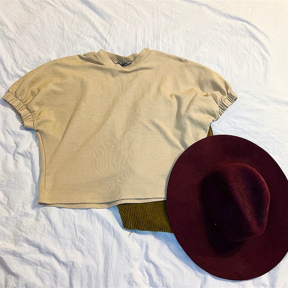 Zara Neutral Nude Beige Cropped Tee Size Small - Picture 1 of 2
